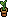Sprout Plant