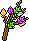 Blossom Branch