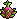 Dragonfruit Plant