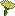 Yellow Delight