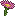 Pink Pandemic