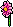 Blossom Flower