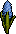 Blue Hyacinth